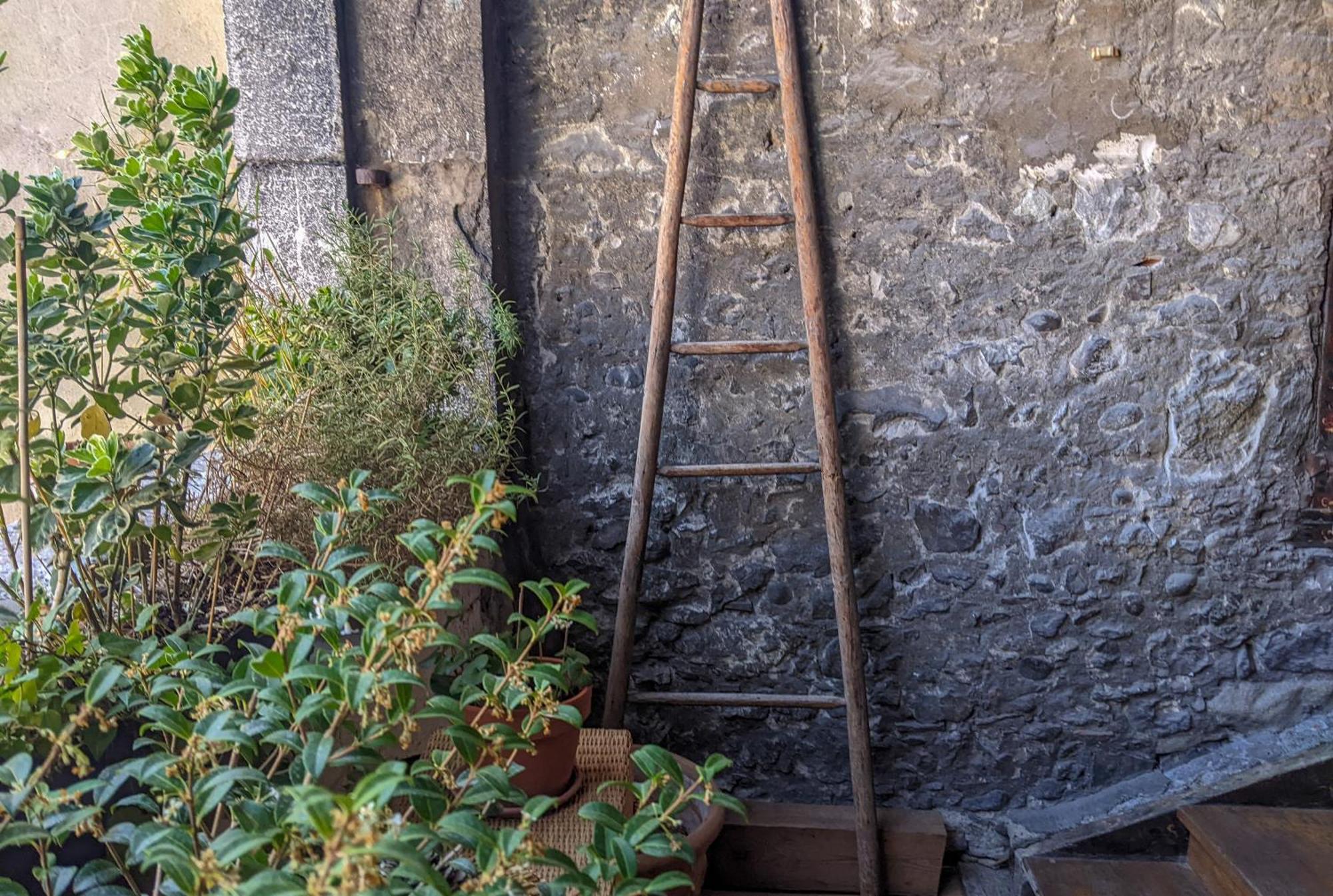 Nid Douillet Bed & Breakfast Annecy Luaran gambar